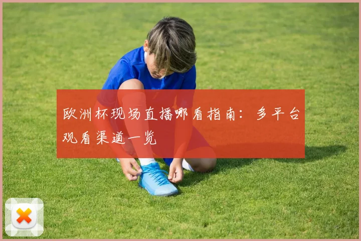 欧洲杯现场直播哪看指南：多平台观看渠道一览