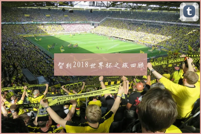 智利2018世界杯之旅回顾