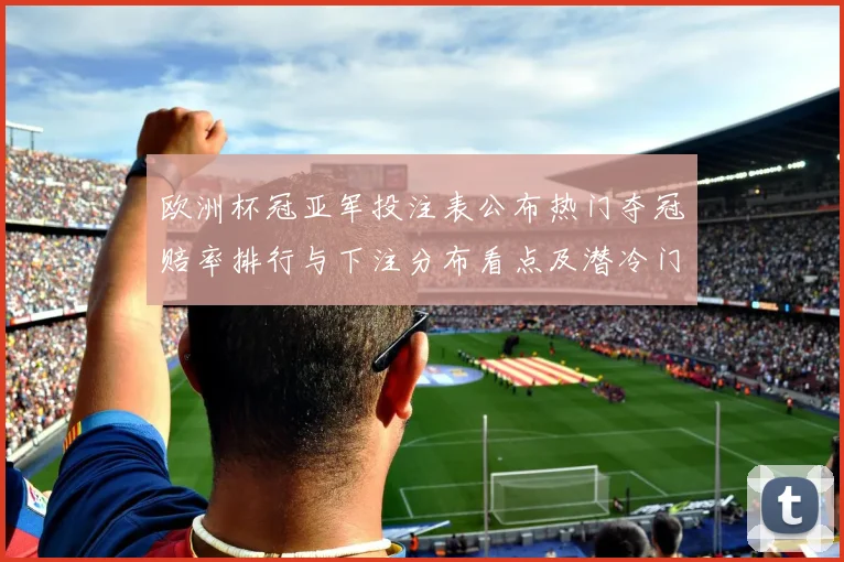 欧洲杯冠亚军投注表公布热门夺冠赔率排行与下注分布看点及潜冷门警示