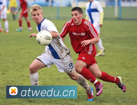 开云手机入口注册品牌故事